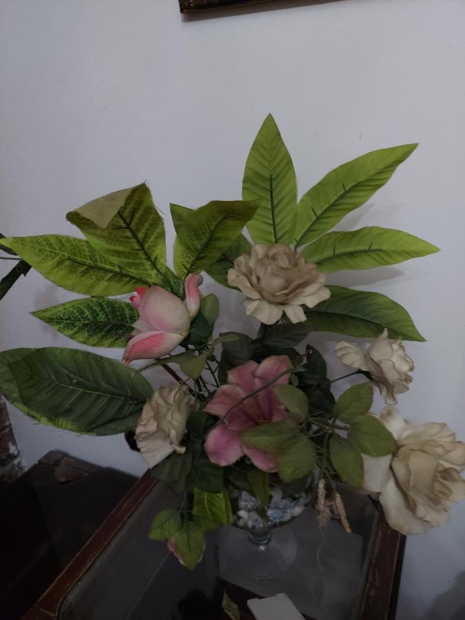 Al Moayad Apartment Near To Genina Mall, Abbas Al Akkad Kaherah Luaran gambar